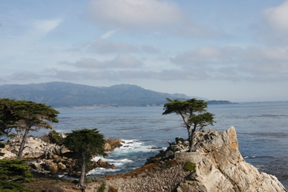 Pebble Beach Lone Cypress (Symbol of Pebble Beach Company)